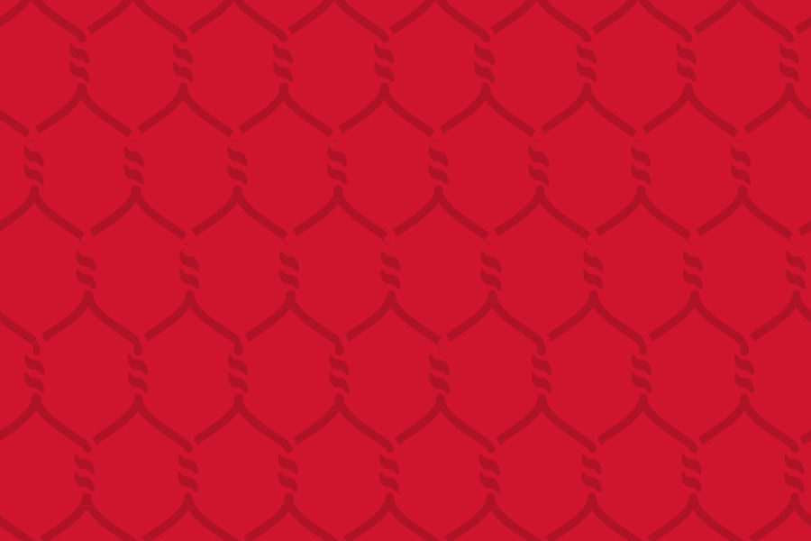 Slim Chickens background pattern